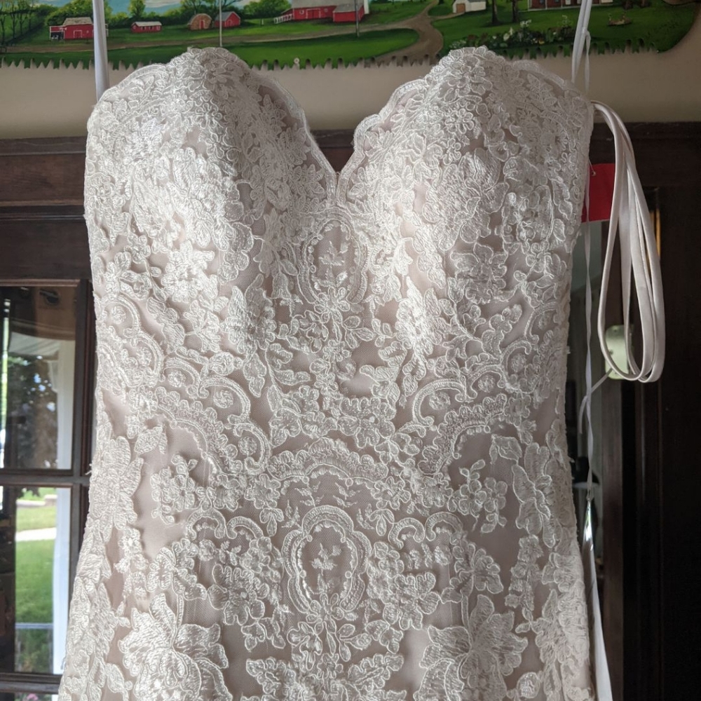 Strapless Lace Dramatic Train Wedding Dress Ivory Champagne Size 8 - Picture 3 of 12